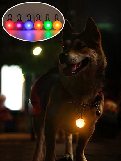 LED Dog Collar Luminous Glowing Pendant Pet Leads Glow Accessories Bright Necklace Luminous Collar Night Safety Decoration