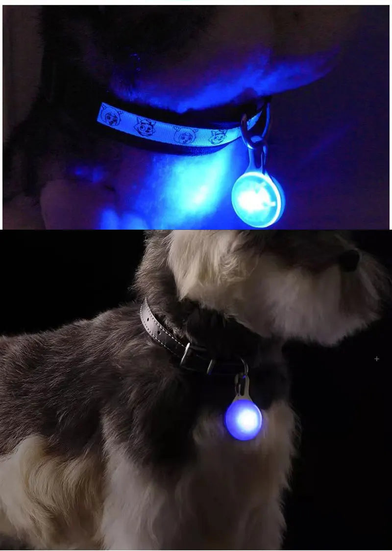LED Dog Collar Luminous Glowing Pendant Pet Leads Glow Accessories Bright Necklace Luminous Collar Night Safety Decoration