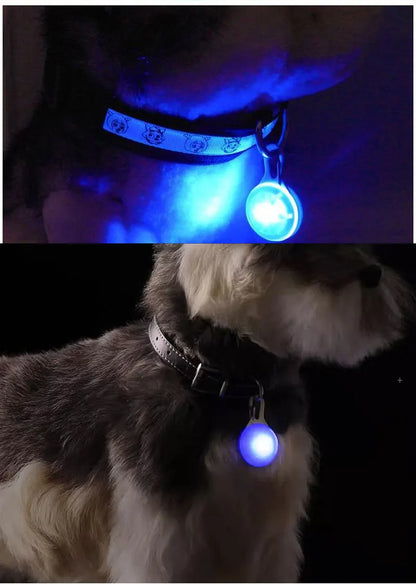 LED Dog Collar Luminous Glowing Pendant Pet Leads Glow Accessories Bright Necklace Luminous Collar Night Safety Decoration
