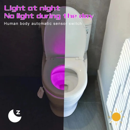 Motion sensor night light for toilet seat
