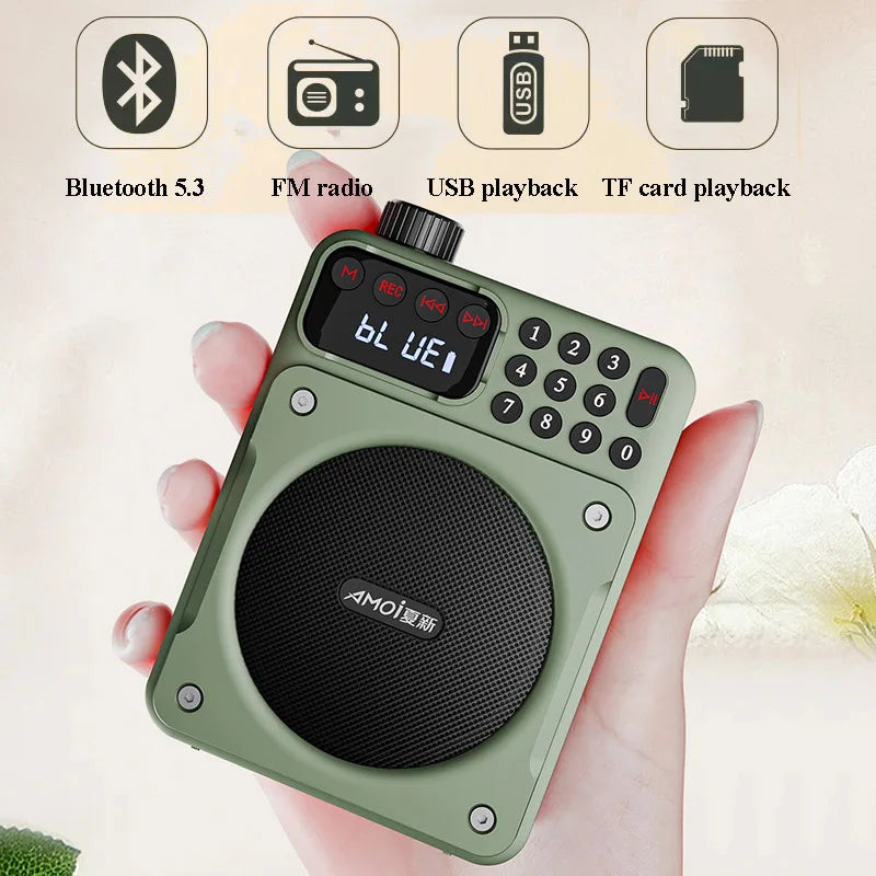 Mini Digital FM Radio HD Display 76-108mhz Radios Wireless Bluetooth 5.3 Speaker Portable Voice Amplifier with TF Card USB Slot