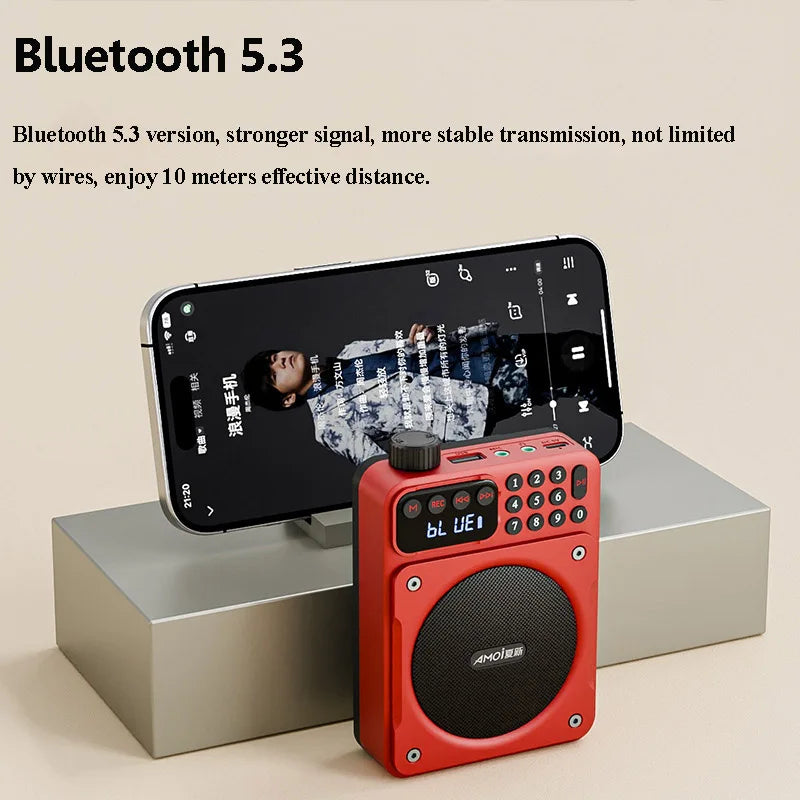 Mini Digital FM Radio HD Display 76-108mhz Radios Wireless Bluetooth 5.3 Speaker Portable Voice Amplifier with TF Card USB Slot